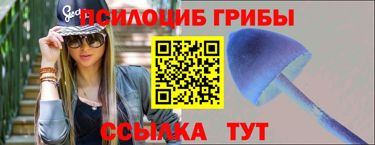 Псилоцибиновые грибы MAGIC MUSHROOMS  Галлюциногенные грибы прущие грибы  Медногорск  Вход с VPN 