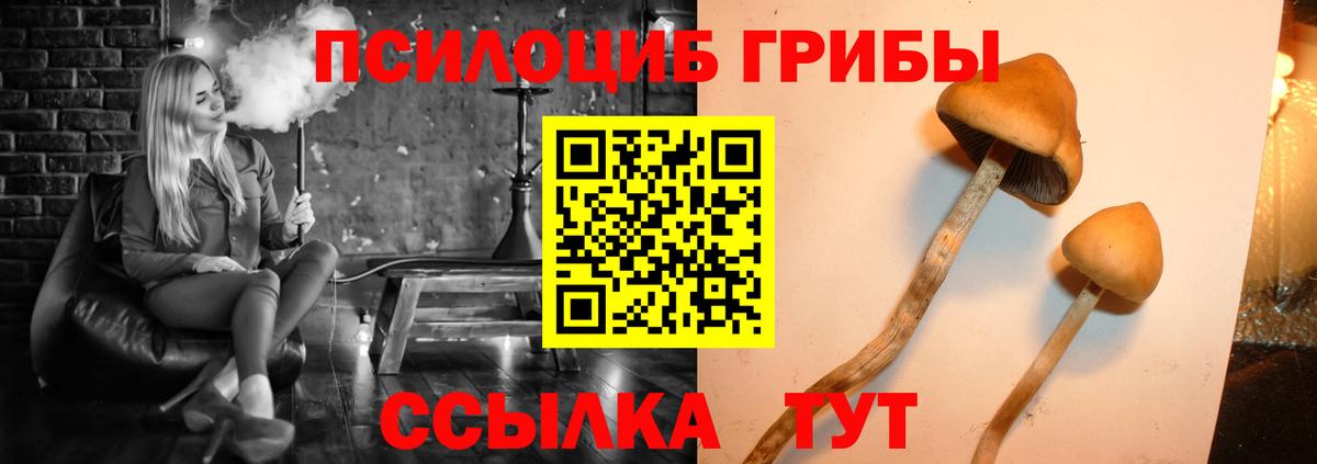 Галлюциногенные грибы MAGIC MUSHROOMS Медногорск